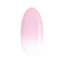 Neonail Belgium_Baby Boomer Base Rose